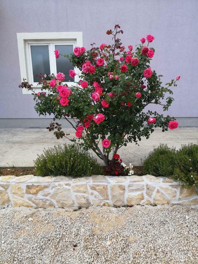 Home Lucic Lozovac Extérieur photo
